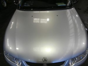 Grille - Holden Commodore 2001