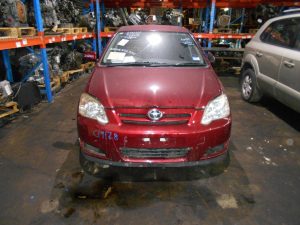 Grille (Lower) - Toyota Corolla 2006