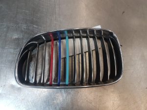Radiator Grille (LH) - Bmw 1 Series 2006