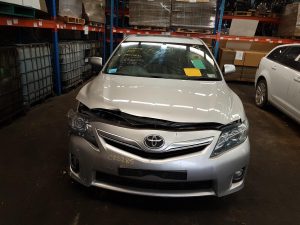 Radiator Grille (Lower) - Toyota Camry 2010